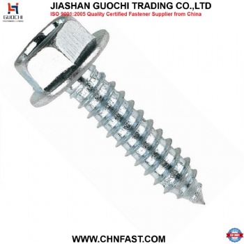 Hex Self Tapping Screw