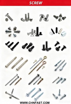 SCREWS 2