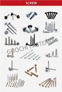 SCREWS 1